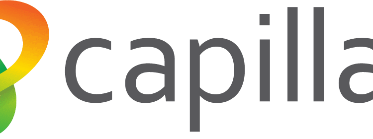 Capillary Technologies Secures Rs 394 Cr from Anchor Investors
