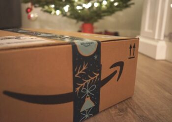 Amazon to deploy 100,000 e-delivery vans globally, expanding India fleet by 2030