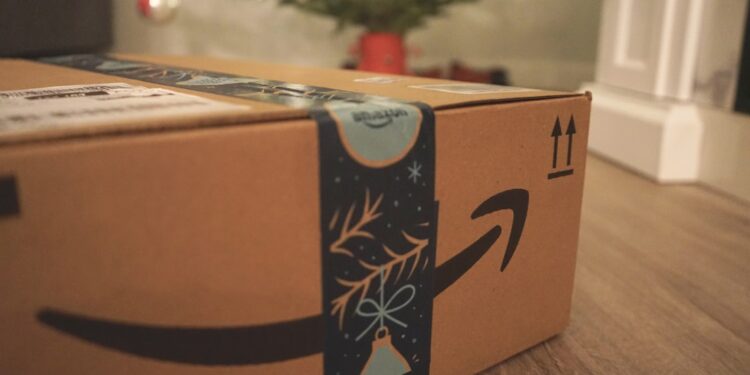 Amazon to deploy 100,000 e-delivery vans globally, expanding India fleet by 2030