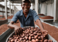 Chocolate Brands Embrace D2C Strategy to Satisfy Consumer Sweet Tooth