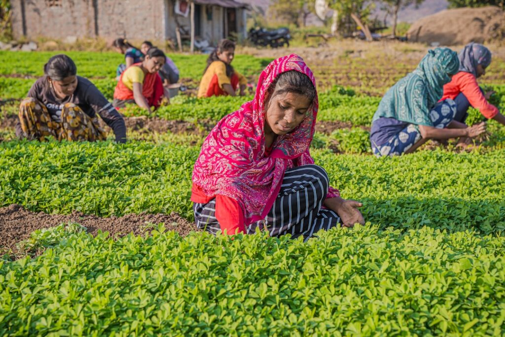 Doodhvale Farms Revolutionizes India’s Milk Trust from Farm to Doorstep