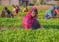 Doodhvale Farms Revolutionizes India’s Milk Trust from Farm to Doorstep Doodhvale Farms Revolutionizes India’s Milk Trust from Farm to Doorstep