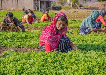 Doodhvale Farms Revolutionizes India’s Milk Trust from Farm to Doorstep Doodhvale Farms Revolutionizes India’s Milk Trust from Farm to Doorstep