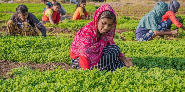 Doodhvale Farms Revolutionizes India’s Milk Trust from Farm to Doorstep