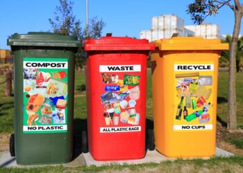 Waste as a Resource: Wilma Rodrigues Revolutionizes Sustainability at Saahas Zero Waste Waste as a Resource: Wilma Rodrigues Revolutionizes Sustainability at Saahas Zero Waste