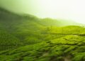 Green SM’s India Litmus Test: CarDekho IPO and Future Prospects Unveiled Green SM’s India Litmus Test: CarDekho IPO and Future Prospects Unveiled