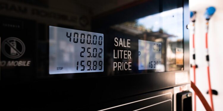 Elevation Capital Fuels Reo.Dev’s Growth with .3 Million Series A Round Elevation Capital Fuels Reo.Dev’s Growth with .3 Million Series A Round
