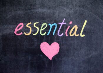 Five Essential Lessons for Aspiring Founders from Down But Not Out