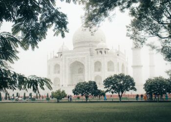 India Leads Global Robot Training Revolution Amid Rising Ethical Concerns